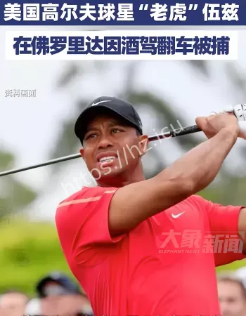 老虎伍兹被捕
