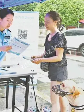 全国小区养宠新规优化落地